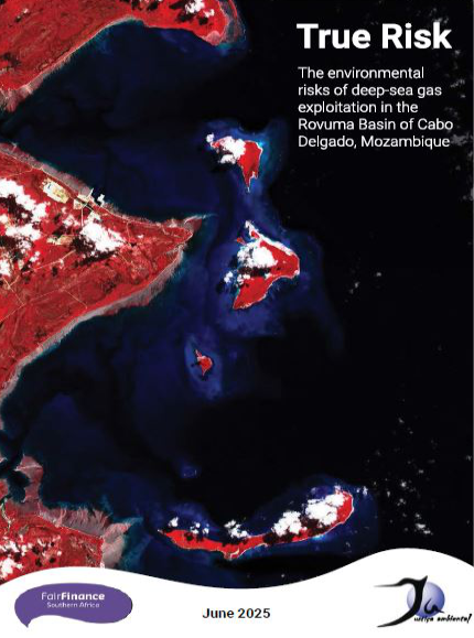 True Risk: The environmental risks of deep-sea gas exploitation in the Rovuma Basin of Cabo Delgado, Mozambique